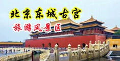 免费逼骚视频中国北京-东城古宫旅游风景区
